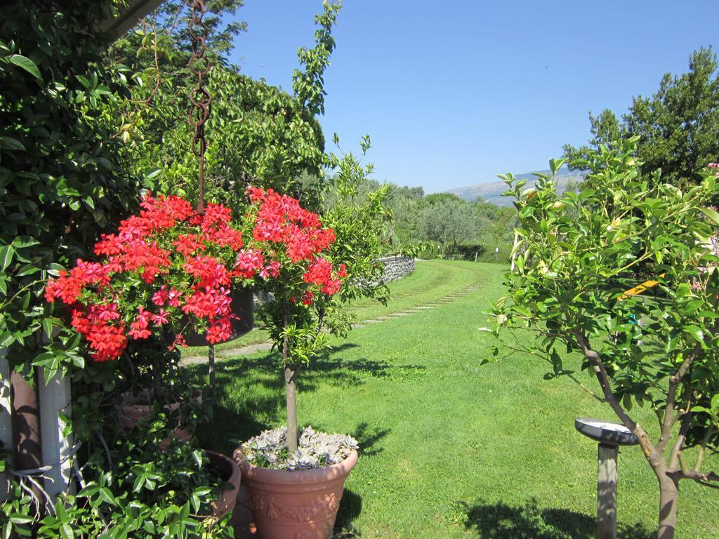 Masseria Santa Lucia Villa Agnone Exterior photo